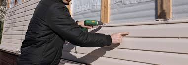 Best Custom Trim and Detailing for Siding  in Soldotna, AK